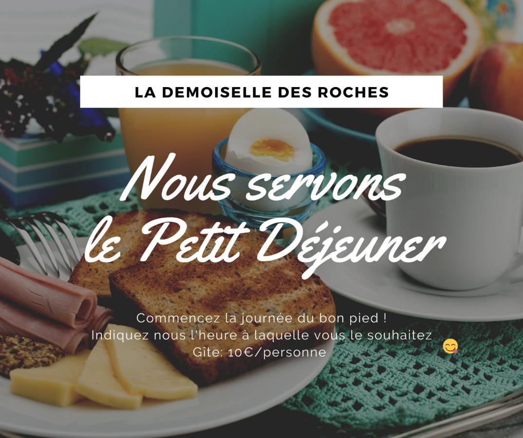 Demoiselle Des Roches Leilighet Ramonchamp Eksteriør bilde