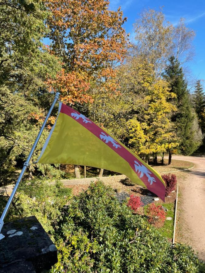 Demoiselle Des Roches Leilighet Ramonchamp Eksteriør bilde
